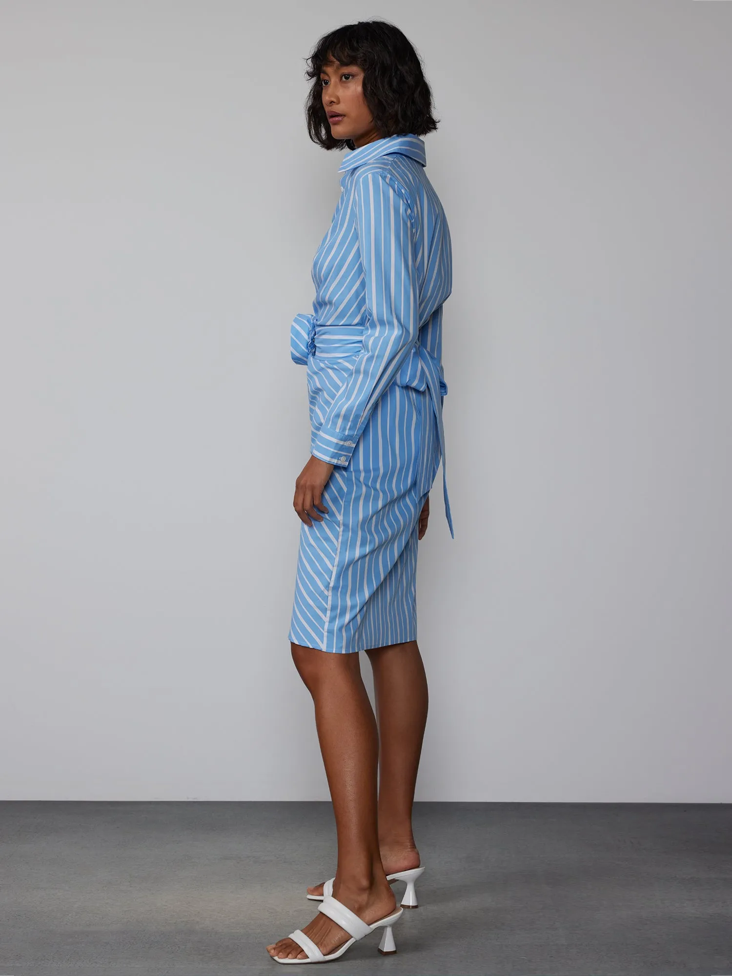 Long Sleeve Rosette Stripe Shirt Dress